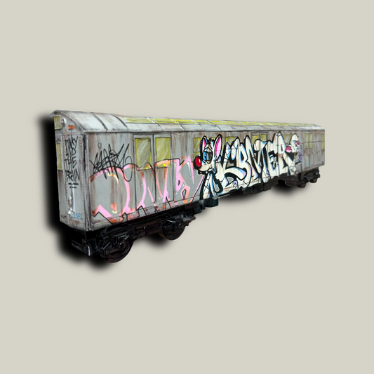 Pinky & The Brain Graffiti Train