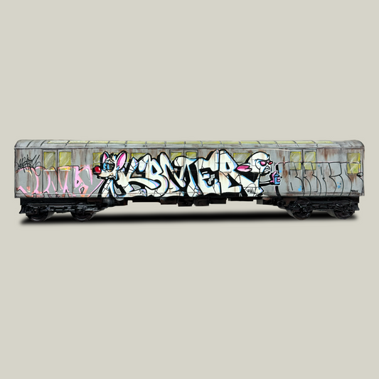 Pinky & The Brain Graffiti Train